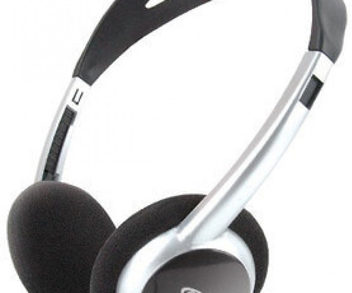 Наушники Gemix HP-260MV Black/Silver, 2 x Mini jack (3.5 мм), накладные, регулятор громкости, кабель